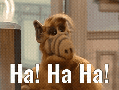 Stuffed Animal Ha Ha Ha GIF