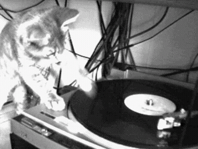 Stuffed Animal Headphones DJ Controller GIF