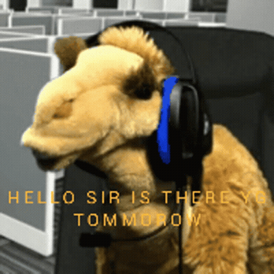 Stuffed Animal Headphones Hello Sir Is There Tomorrow GIF