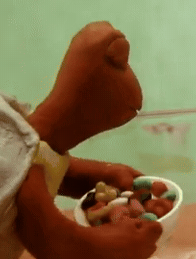 Stuffed Animal Holding Bowl Of Food GIF
