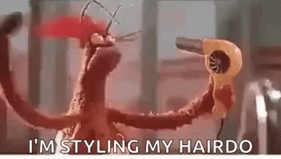 Stuffed Animal Holding Hair Dryer GIF