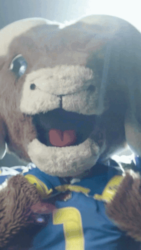 Stuffed Animal In Blue Shirt With Number 1 GIF