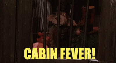 Stuffed Animal In Cage With Cabin Fever GIF