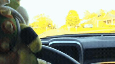 Stuffed Animal In Driver Seat Of Vehicle GIF