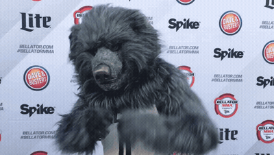Stuffed Animal In Front Of Lite And Spike Wall GIF