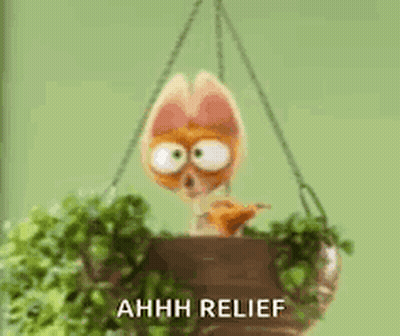 Stuffed Animal In Hanging Plant GIF