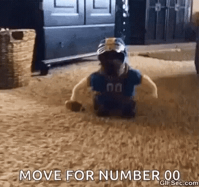 Stuffed Animal In Helmet And Jersey Crawling GIF