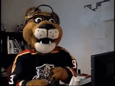 Stuffed Animal In Jersey Number 9 GIF
