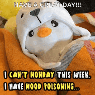 Stuffed Animal In Penguin Hat Wrapped In Orange Blanket GIF