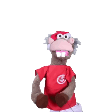 Stuffed Animal In Red Shirt And Pink G Hat Sticker