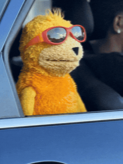 Stuffed Animal In Sunglasses Sitting In Car GIF