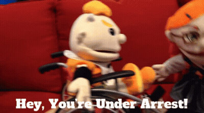 Stuffed Animal In Wheelchair Held By Another With Hey Youre Under Arrest GIF
