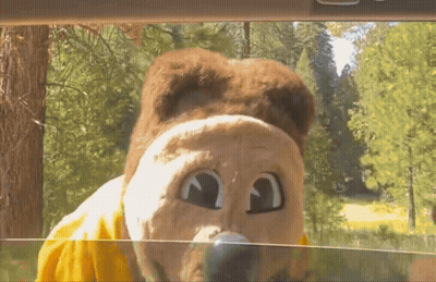 Stuffed Animal In Yellow Shirt Looking Out Car Window GIF