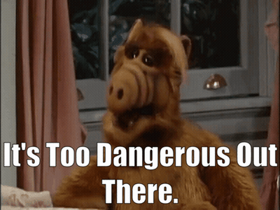 Stuffed Animal It's Too Dangerous Out There GIF