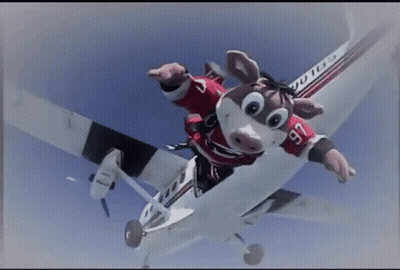 Stuffed Animal Jumping Out Of Plane Number 76 GIF