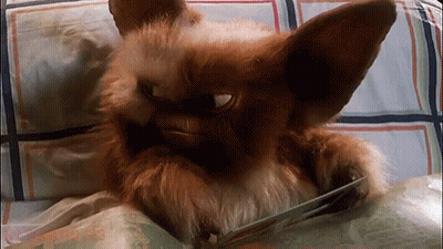 Stuffed Animal Laying On Bed With Book GIF
