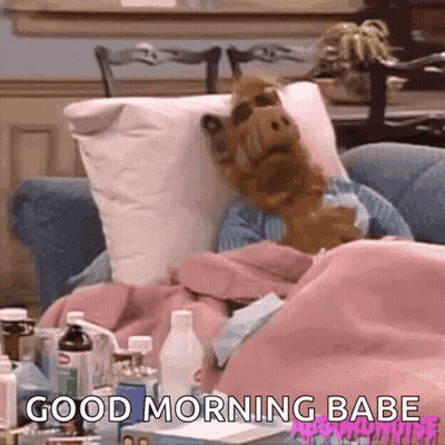 Stuffed Animal Laying On Couch With Blanket And Pillow GIF