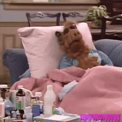 Stuffed Animal Laying On Couch With Pink Blanket And Pillow GIF