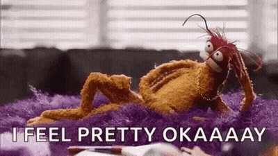 Stuffed Animal Laying On Purple Rug Saying I Feel Pretty Okaaay GIF