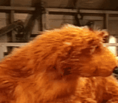 Stuffed Animal Lion Close Up GIF