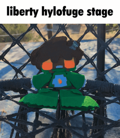 Stuffed Animal On Hammock Liberty Hylofuge Stage GIF