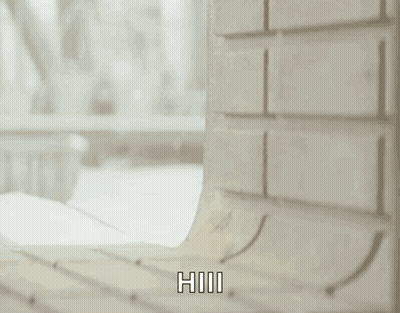 Stuffed Animal Peeking Behind Wall GIF