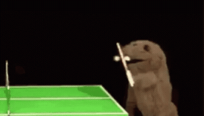 Stuffed Animal Playing Tennis With Bat GIF