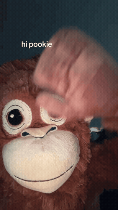 Stuffed Animal Saying Hi Pookie GIF