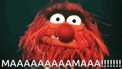 Stuffed Animal Saying Maaaa GIF