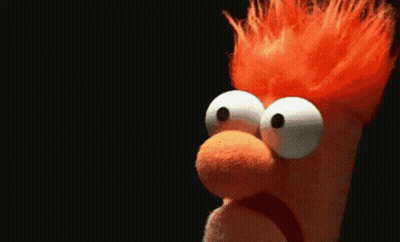 Stuffed Animal Saying Meep Meep GIF