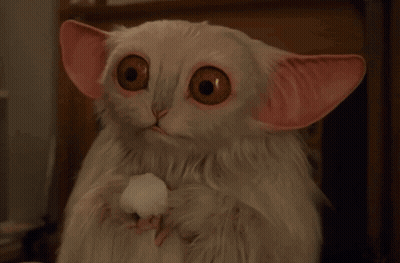 Stuffed Animal Saying Meep Meep GIF