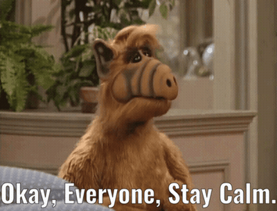 Stuffed Animal Saying Okay Everyone Stay Calm GIF