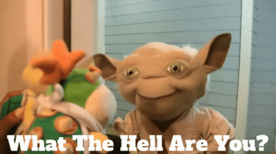 Stuffed Animal Saying What The Hell Are You GIF