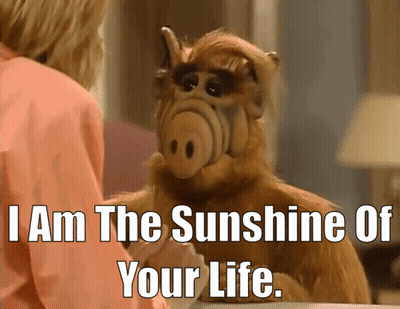Stuffed Animal Says I Am The Sunshine Of Your Life Next To Woman GIF