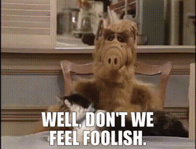 Stuffed Animal Sitting At Table Saying Well Don't We Feel Foolish GIF