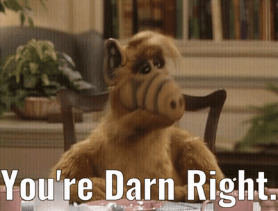 Stuffed Animal Sitting At Table Saying You're Darn Right GIF