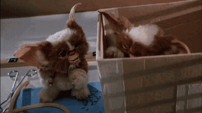 Stuffed Animal Sitting In Cardboard Box GIF