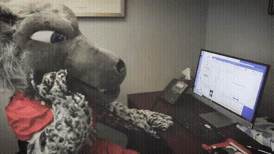 Stuffed Animal Sitting In Front Of Computer GIF