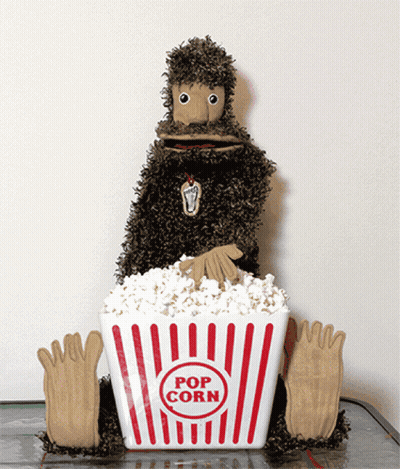 Stuffed Animal Sitting On Popcorn Bucket GIF