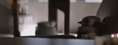 Stuffed Animal Sitting On Table GIF