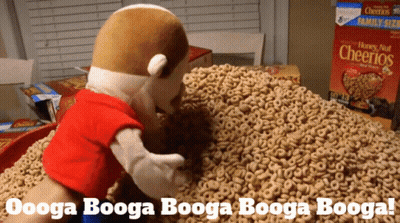 Stuffed Animal Standing On Cheerios GIF