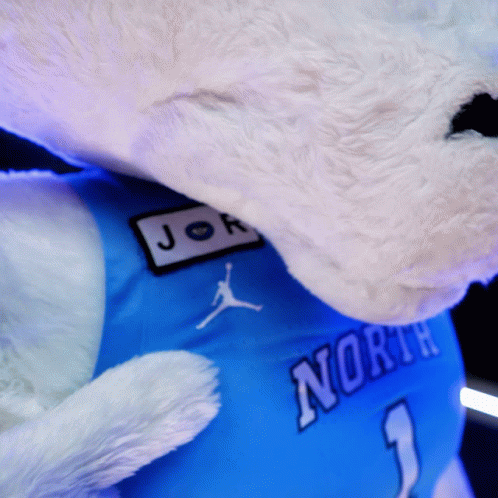 Stuffed Animal Wearing North 1 Jersey GIF