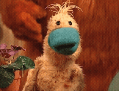 Stuffed Animal With Blue Sock On Nose GIF