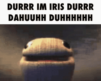 Stuffed Animal With Durrr Iris Dahuuhh GIF