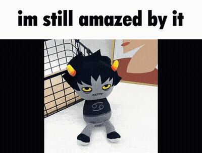 Stuffed Animal With Im Still Amazed By It GIF