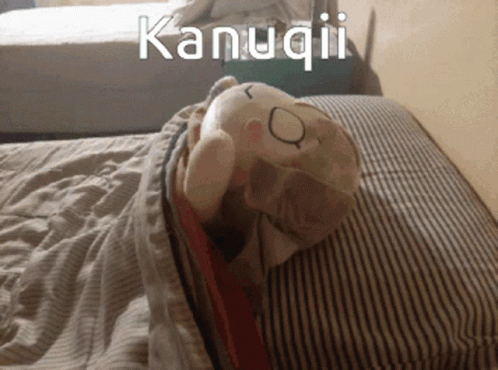 Stuffed Animal With Kanuqii Text GIF