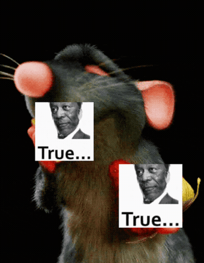Stuffed Animal With Picture Of Man Saying True GIF
