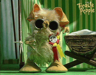 Stuffed Animal With Sunglasses And 1St Prize Ribbon GIF