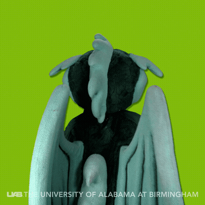Stuffed Animal With University Of Alabama At Birmingham GIF