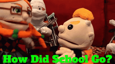 Stuffed Animals How Did School Go GIF